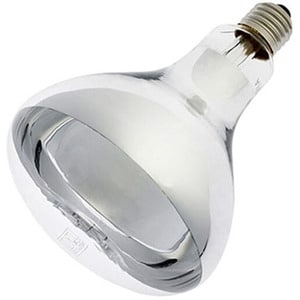 PRODUCT-11375-wf-jpg-300Wx300H.jpg